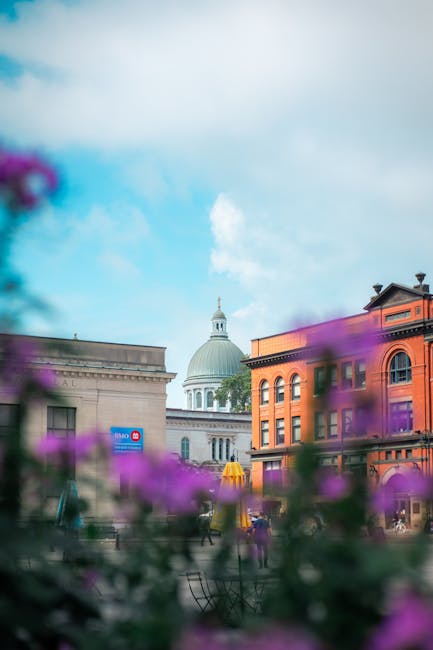 A cityscape featuring a mix of historic and modern buildings seen from a ground-level perspective, with purple flowers in the foreground that are slightly out of focus. Prominent in the background is a white domed structure with a small spire and architectural detailing, partially obscured by the surrounding buildings. To the right, there is a red brick building with large arched windows and decorative cornices. The sky above is partly cloudy with patches of blue and soft sunlight illuminating the scene. The environment appears to be a busy urban area with pedestrians walking along the street, and a clear indication of urban renewal or maintenance activities. The scene is associated with urban waste management, with Waste Collection Kingston potentially involved in on-site clearance or alternative rubbish removal services, as evidenced by the diverse architecture and the city's ongoing urban development context.